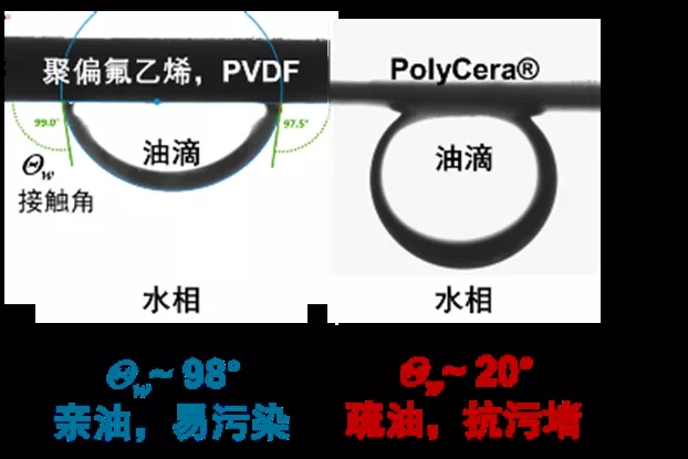 5.webp.jpg