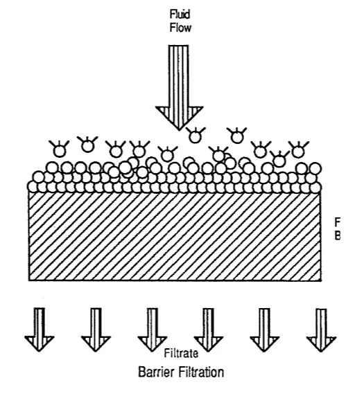 1.webp (1).jpg