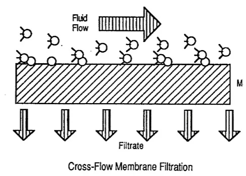 2.webp (1).jpg